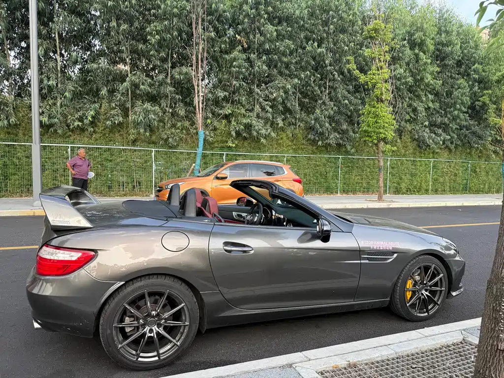 Mercedes-Benz SLK-Class — миниатюра 11