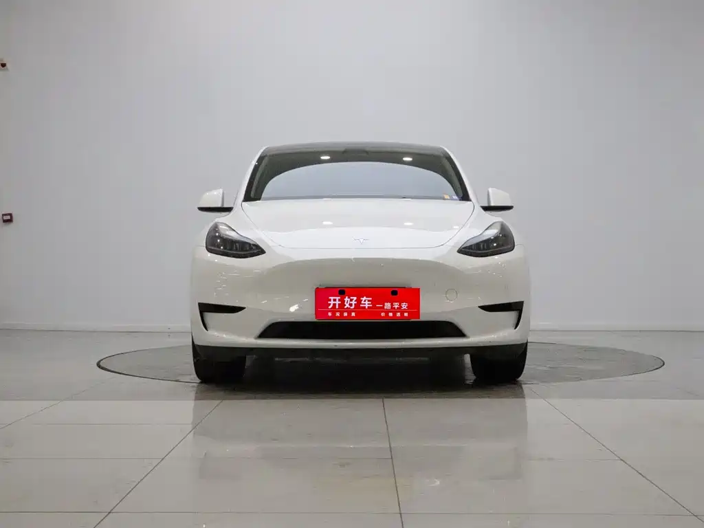 Tesla Model Y — миниатюра 2