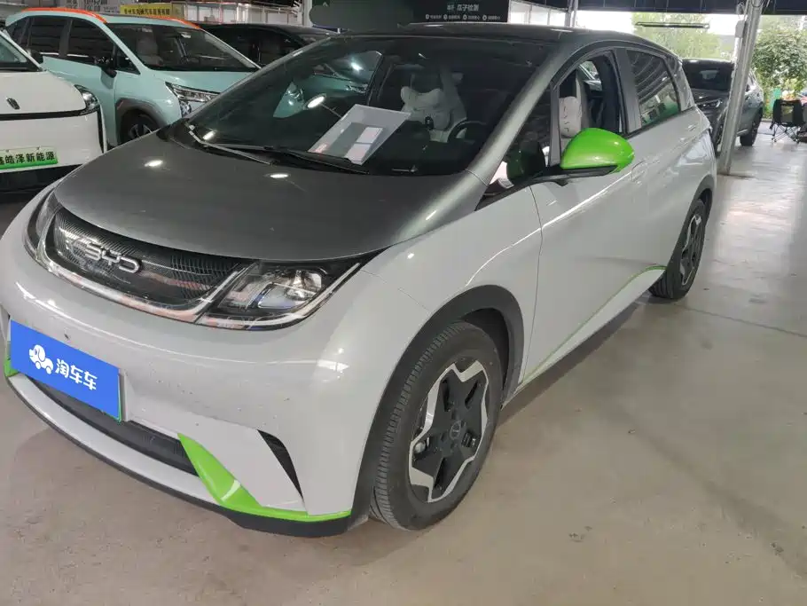BYD Dolphin
