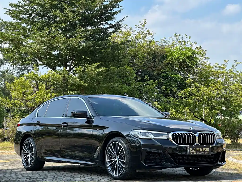 BMW 5 Series — миниатюра 3