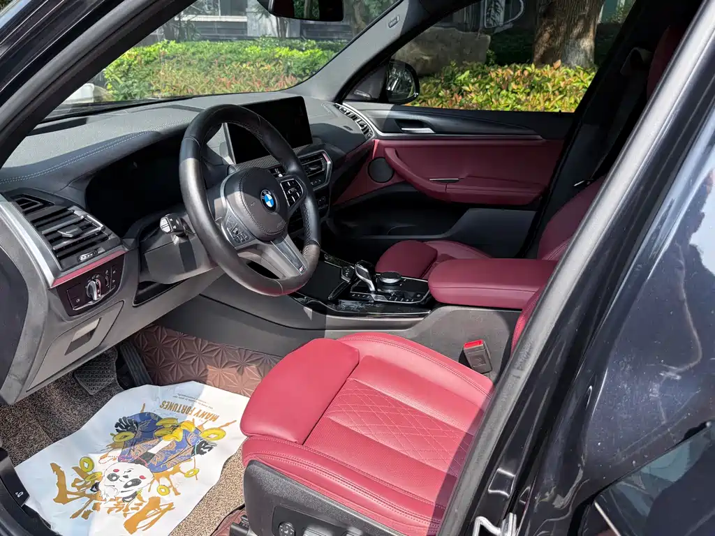 BMW X3 — миниатюра 7