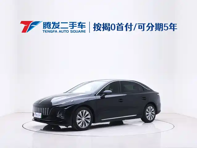 Hongqi HONGQI E QM5 2022