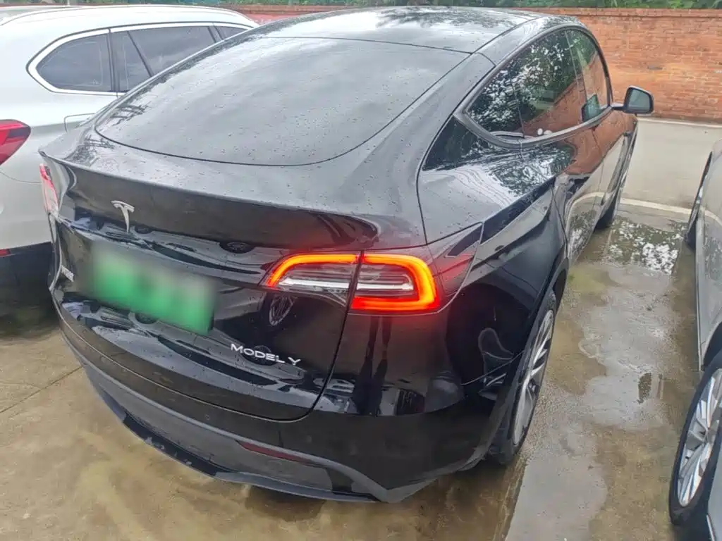 Tesla Model Y — миниатюра 7