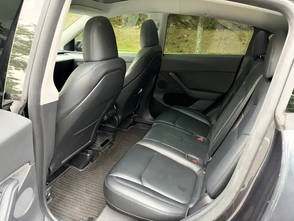 Tesla Model Y — миниатюра 14
