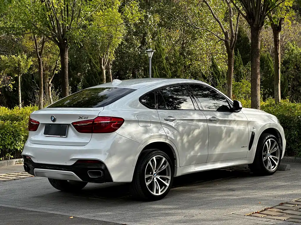 BMW X6 — миниатюра 11