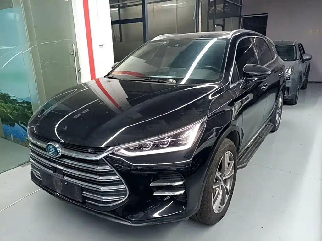 BYD Tang New Energy — миниатюра 2