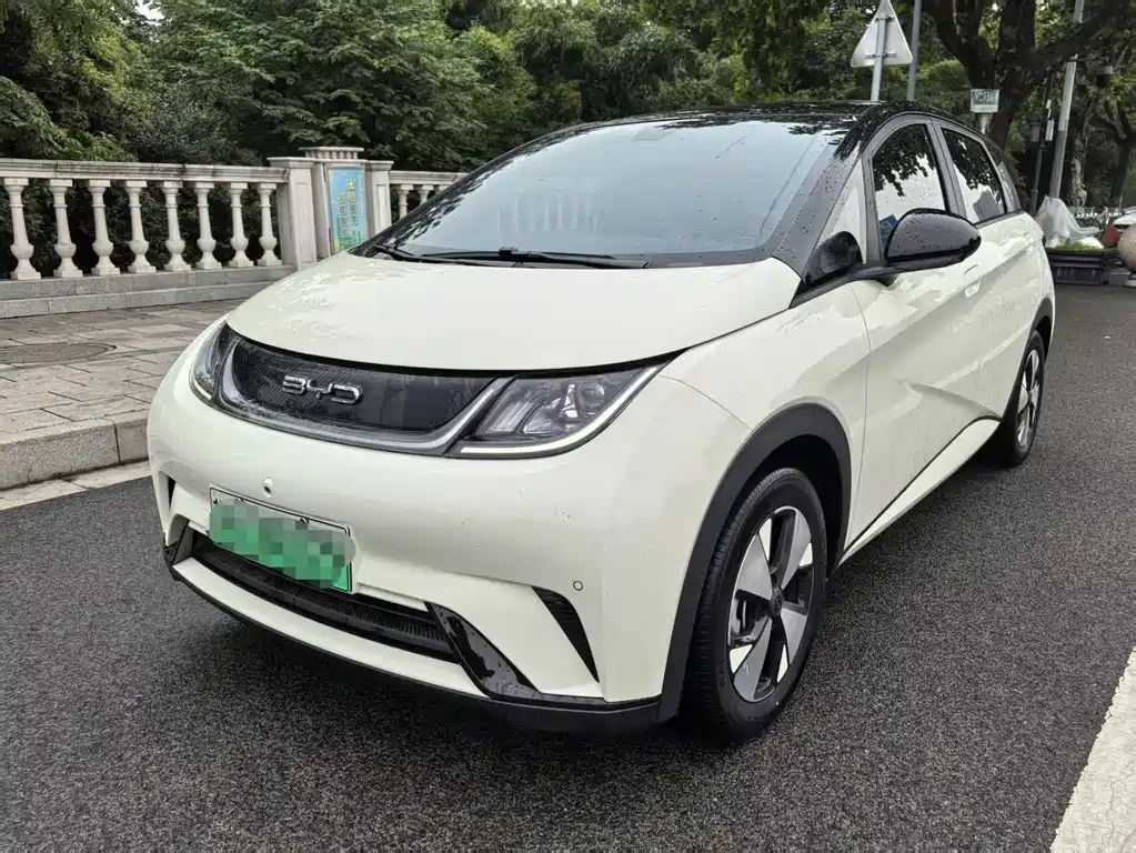 2023 BYD Dolphin - zdjęcie 1 z 11