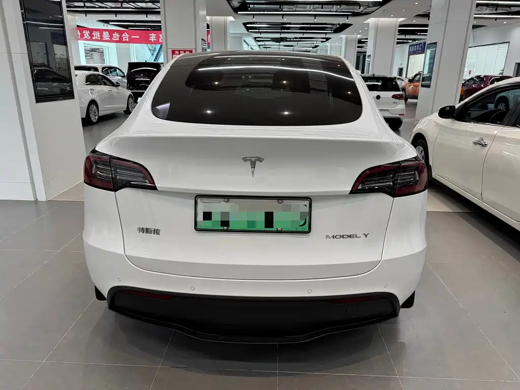 Tesla Model Y — миниатюра 5