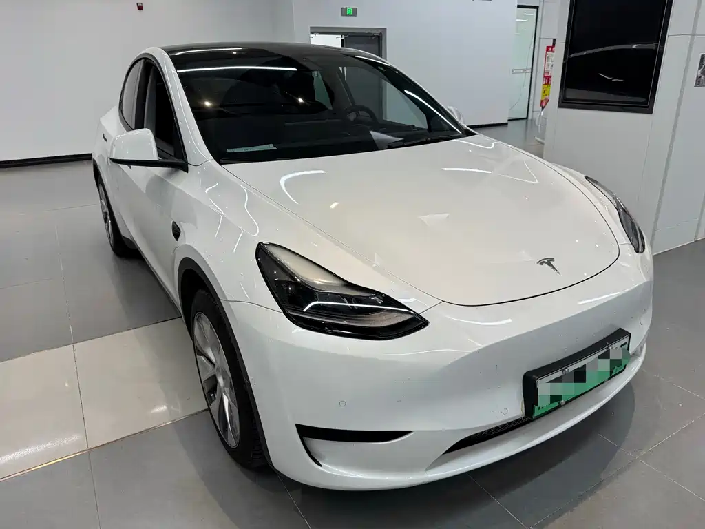 Tesla Model Y — миниатюра 3