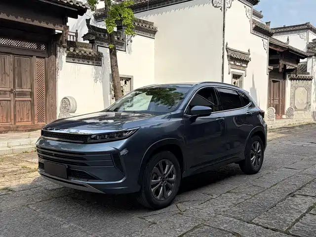 2021 EXEED LX
