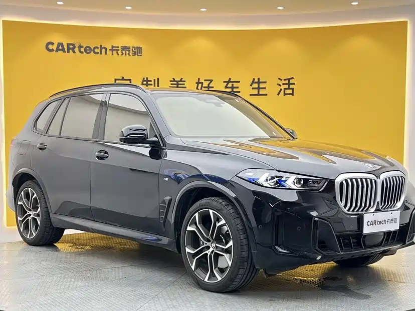 BMW X5 — миниатюра 2