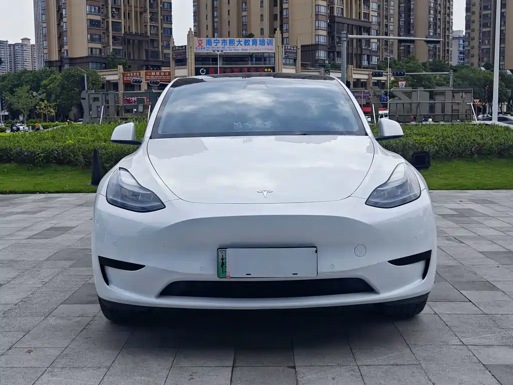 Tesla Model Y — миниатюра 2
