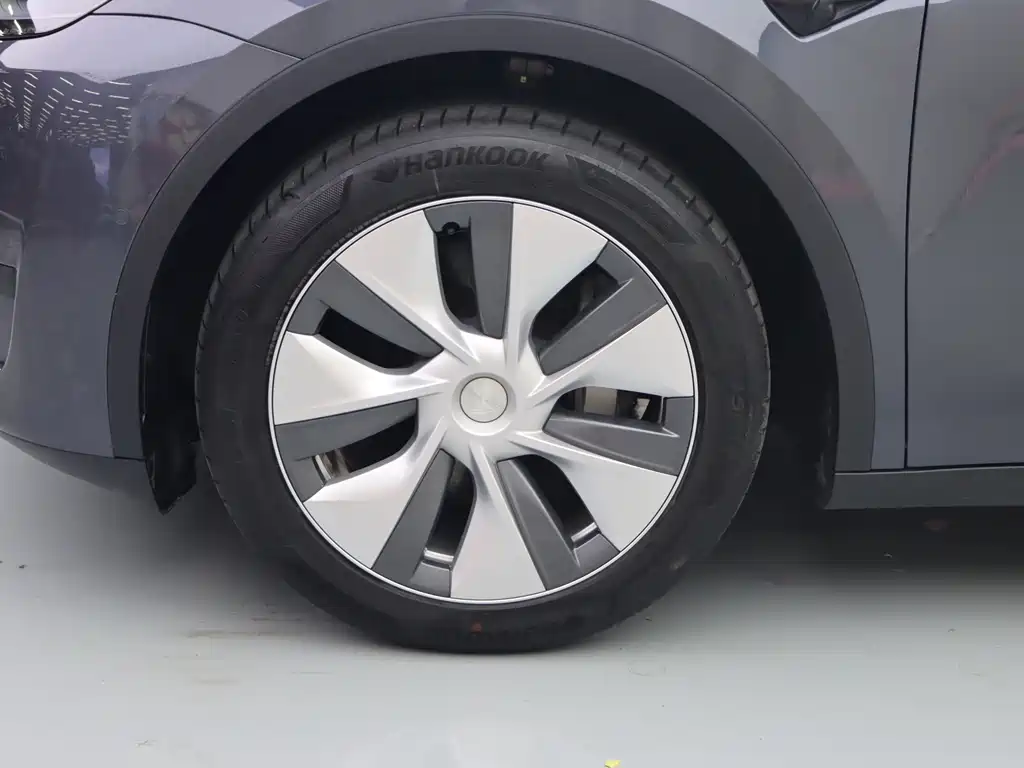 Tesla Model Y — миниатюра 4