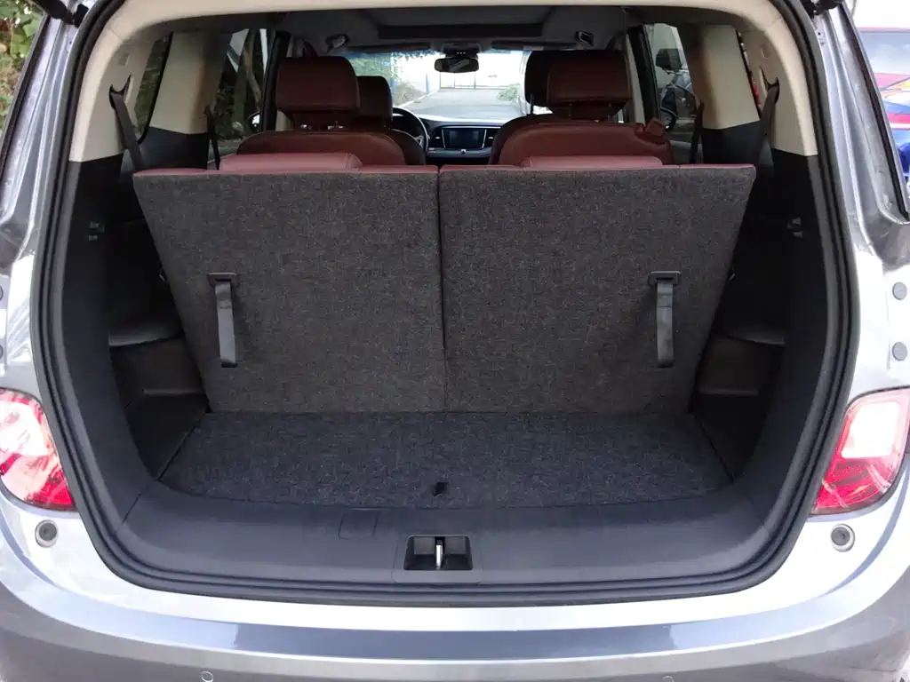 Buick GL6 — миниатюра 15