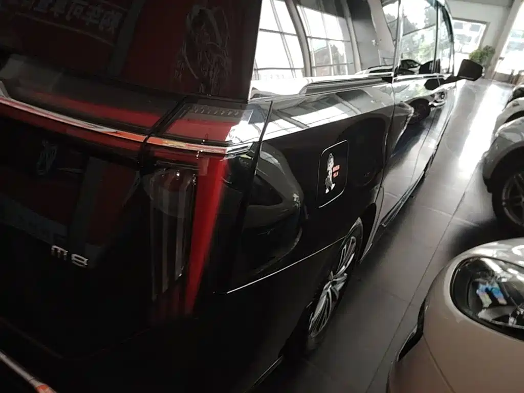 GAC Motor Trumpchi M8 — миниатюра 8