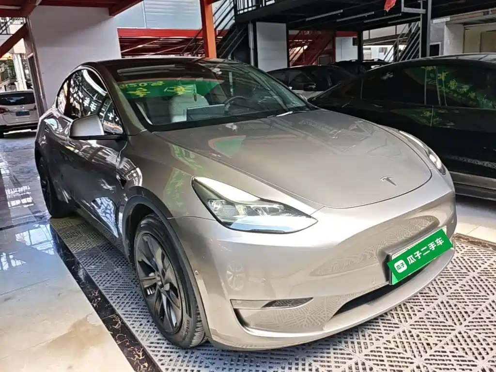 Tesla Model Y — миниатюра 4