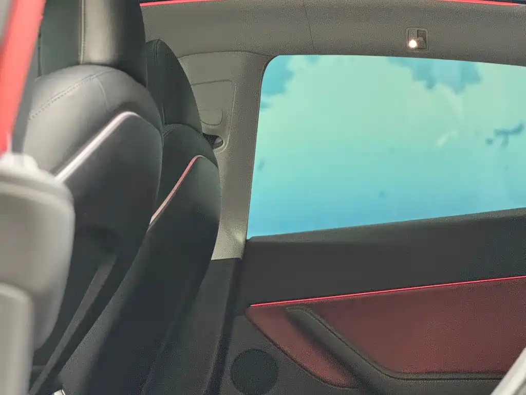 Tesla Model Y 2022 Performance
