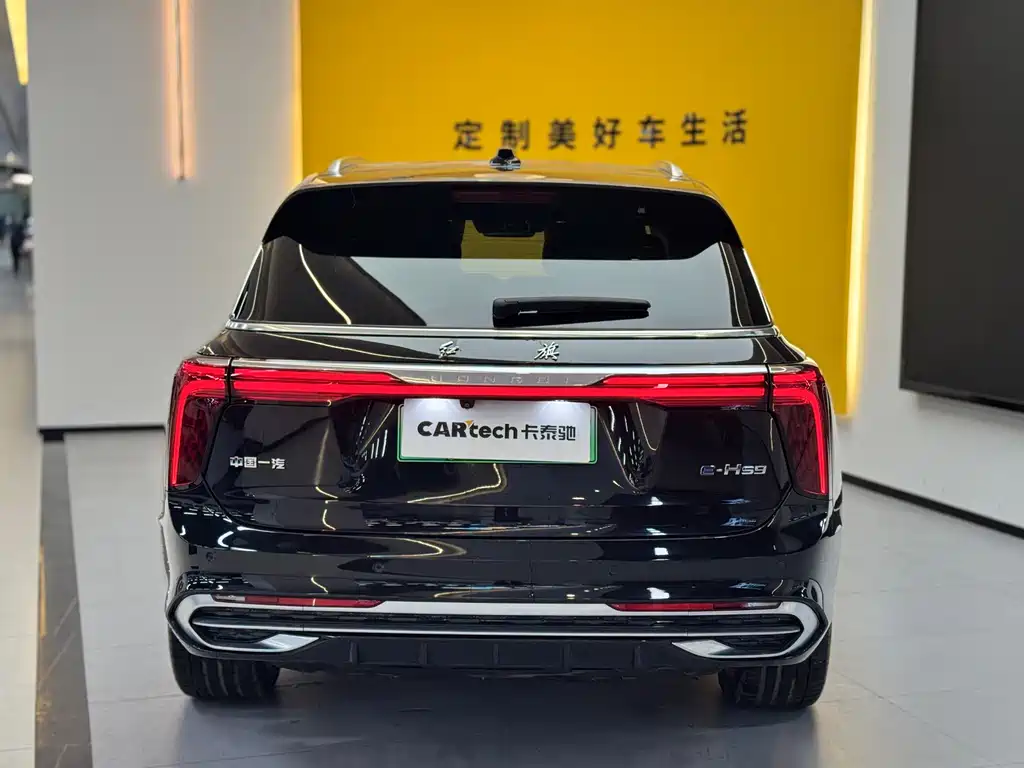 Hongqi E-HS9 2022 690km мест