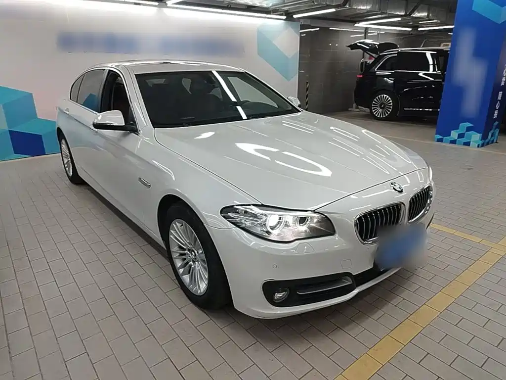 BMW 5 Series 5 2014 525Li Lead