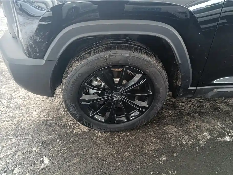 HAVAL RAPTORS NEW ENERGY