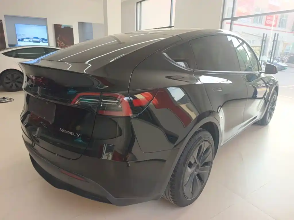 Tesla Model Y — миниатюра 7