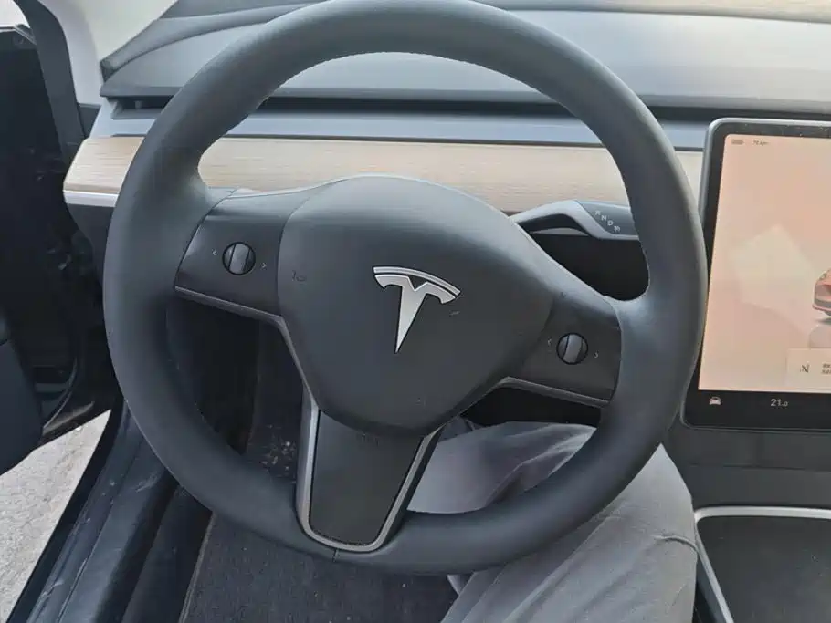 Tesla Model 3 — миниатюра 15