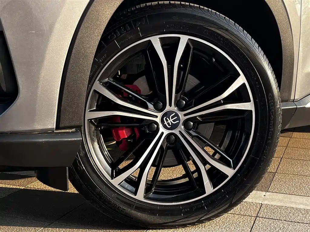 BYD PLUS — миниатюра 6