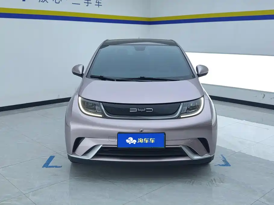 BYD Dolphin — миниатюра 2