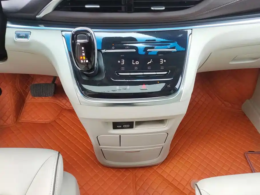 Buick GL8 — миниатюра 16