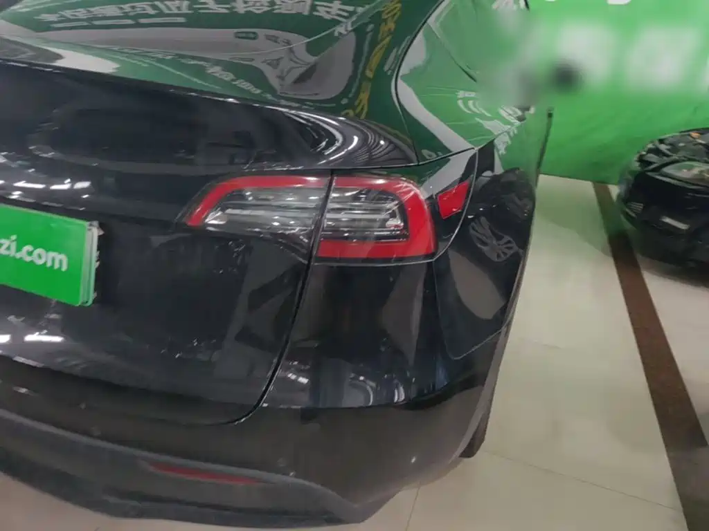 Tesla Model Y — миниатюра 8