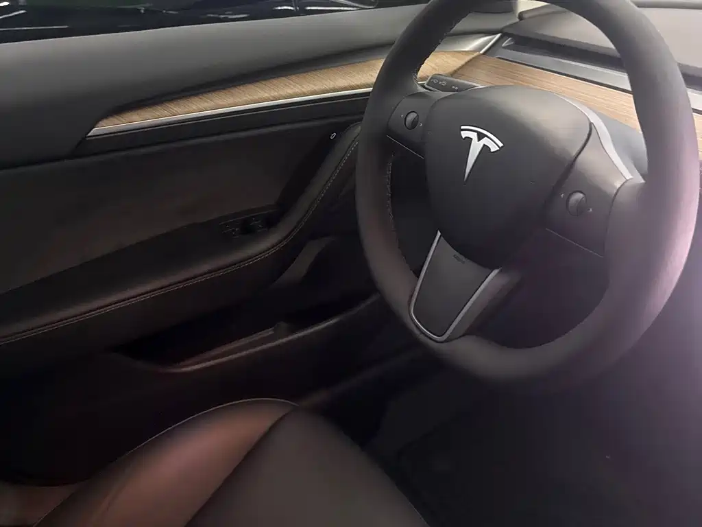 Tesla Model 3 — миниатюра 4