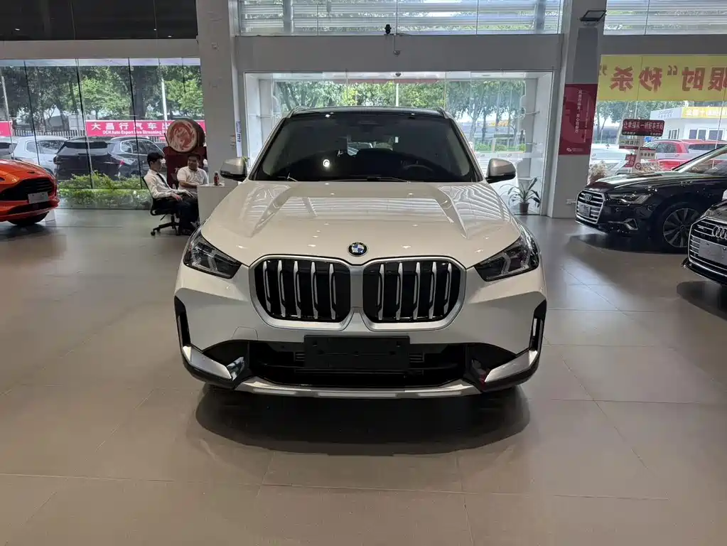 BMW X1 — миниатюра 2