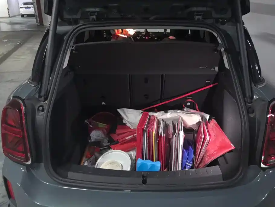 MINI Mini Countryman — миниатюра 4