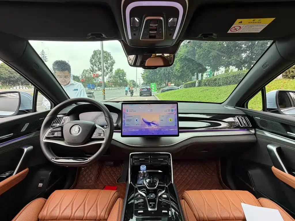 BYD Tang New Energy — миниатюра 13