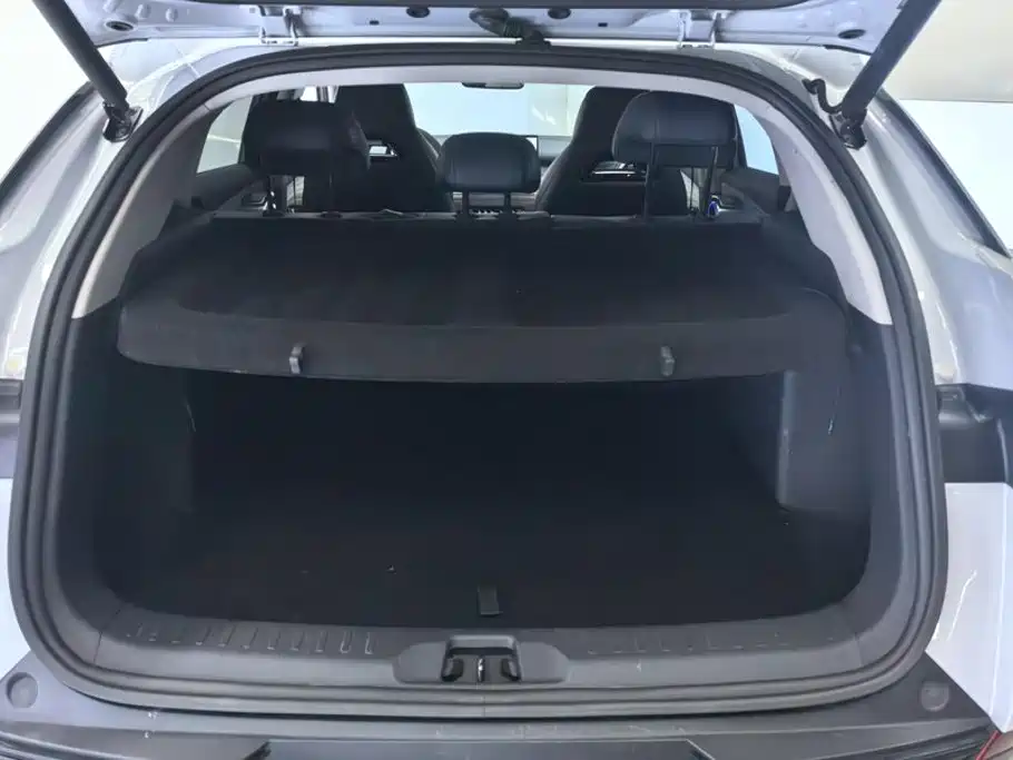 BYD Yuan Plus — миниатюра 4