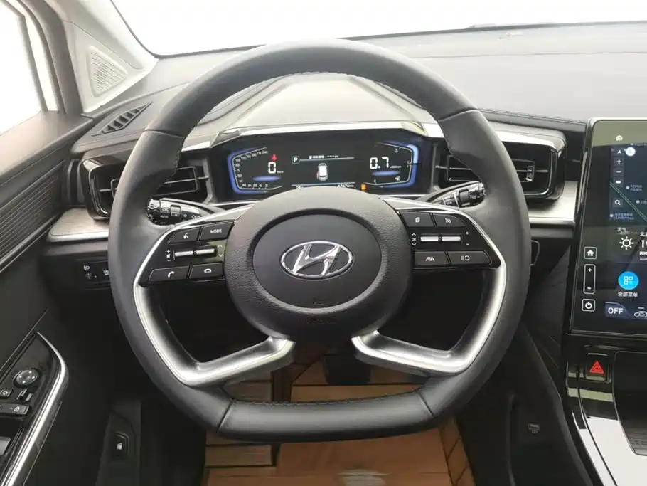 Hyundai Custo — миниатюра 15