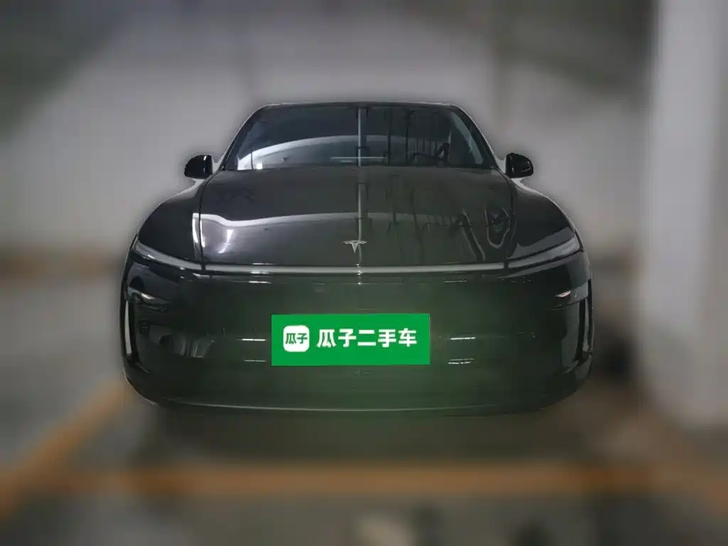 Tesla Model Y — миниатюра 2