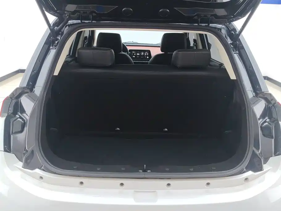 Dongfeng EV YOUNG Guang Xiaoxin — миниатюра 4