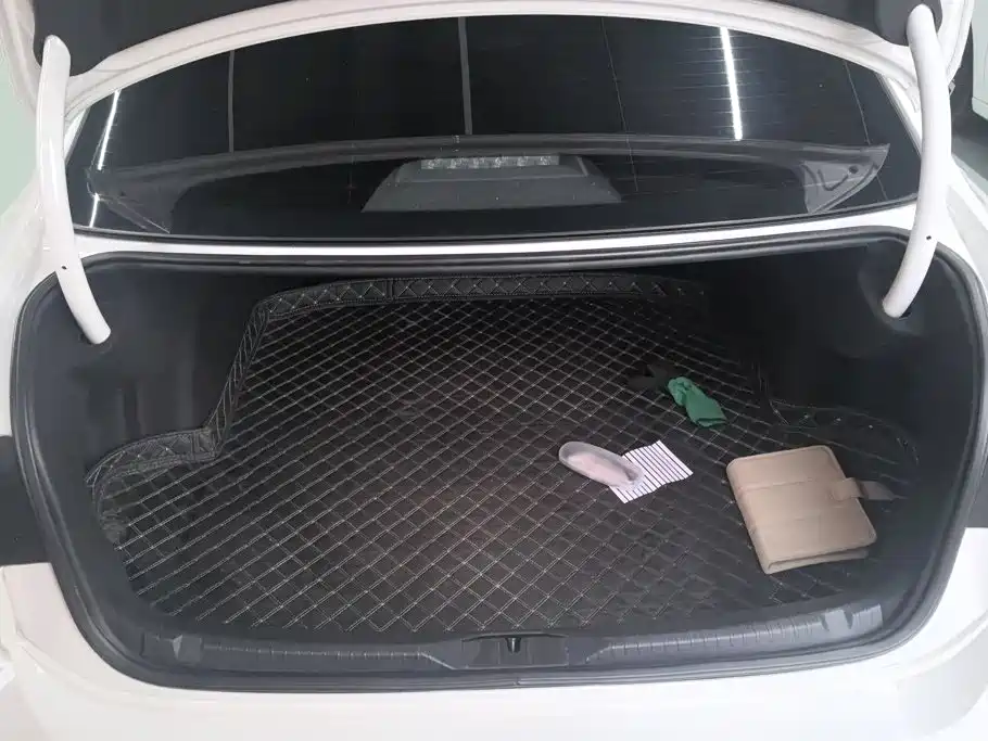 Volkswagen Lamando — миниатюра 4