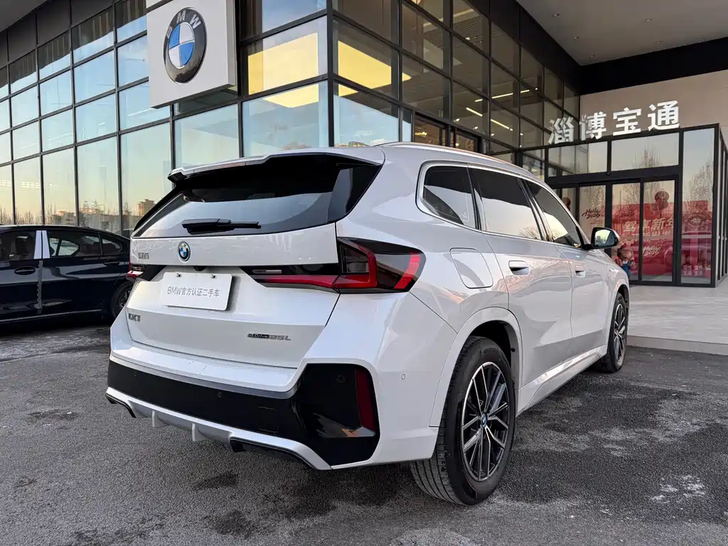 BMW IX1
