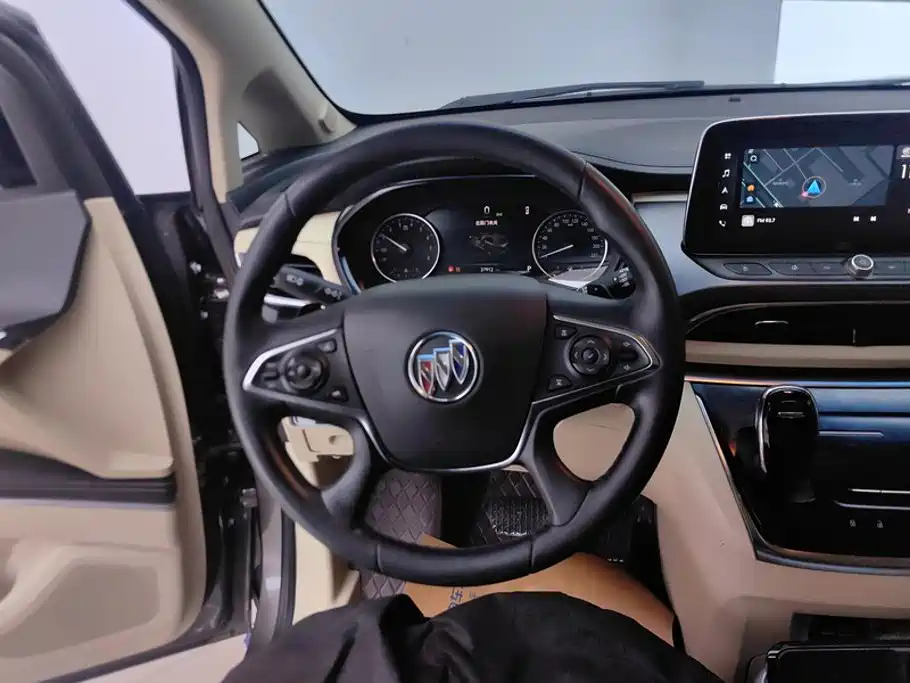 Buick GL8 — миниатюра 15