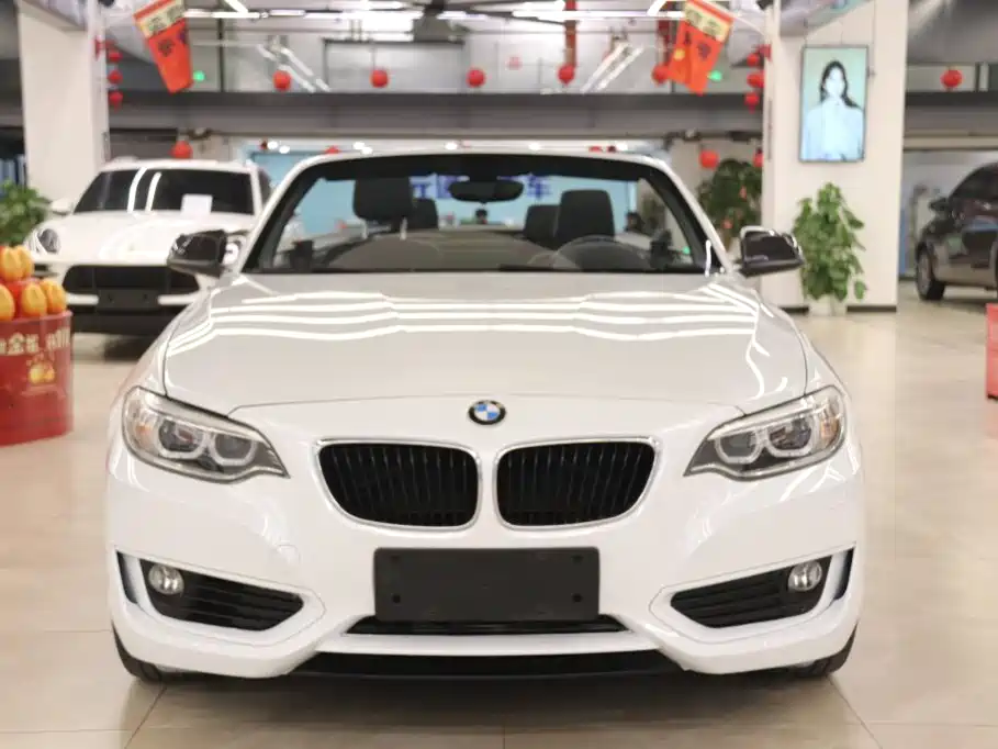 BMW 2 Series (Import) — миниатюра 2