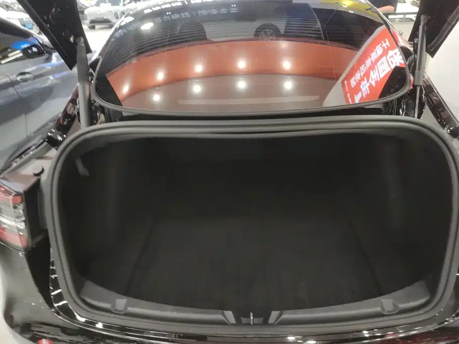 Tesla Model 3 — миниатюра 4