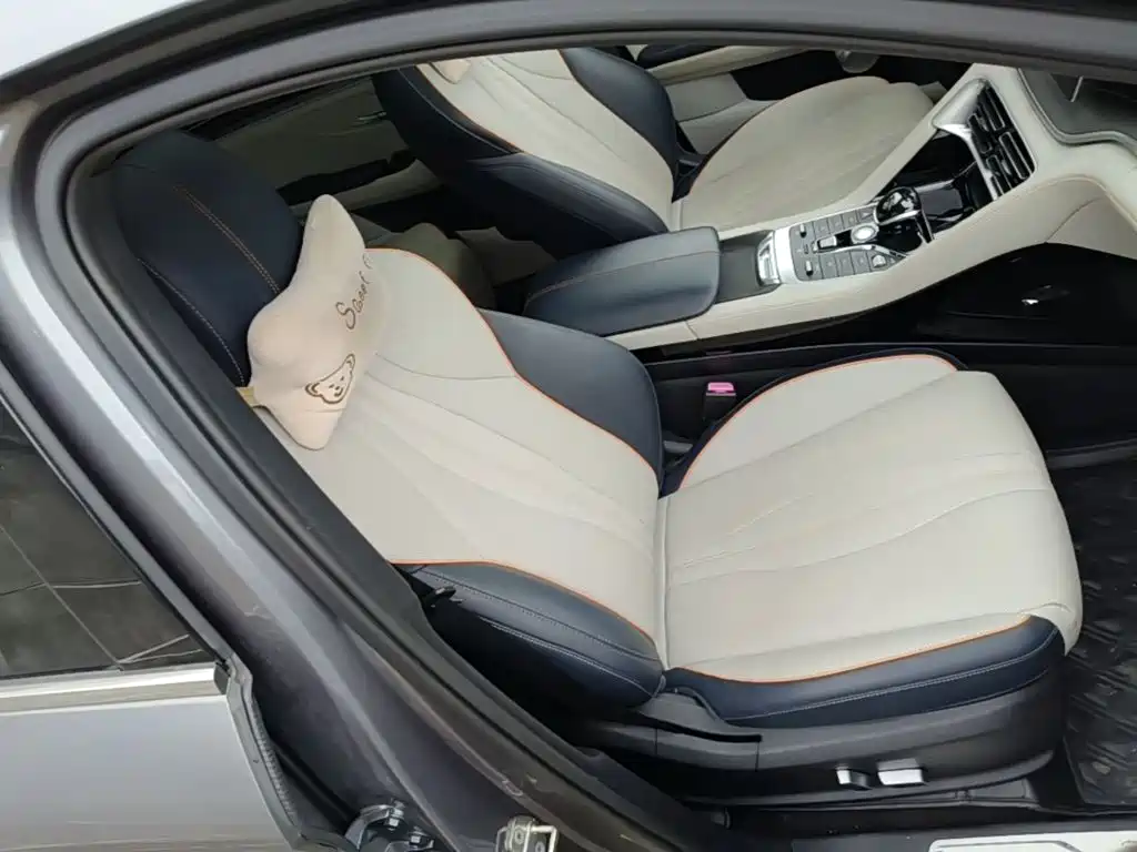 BYD PLUS New Energy — миниатюра 25