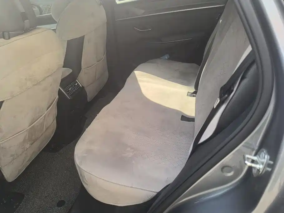 BYD Pro New Energy — миниатюра 11