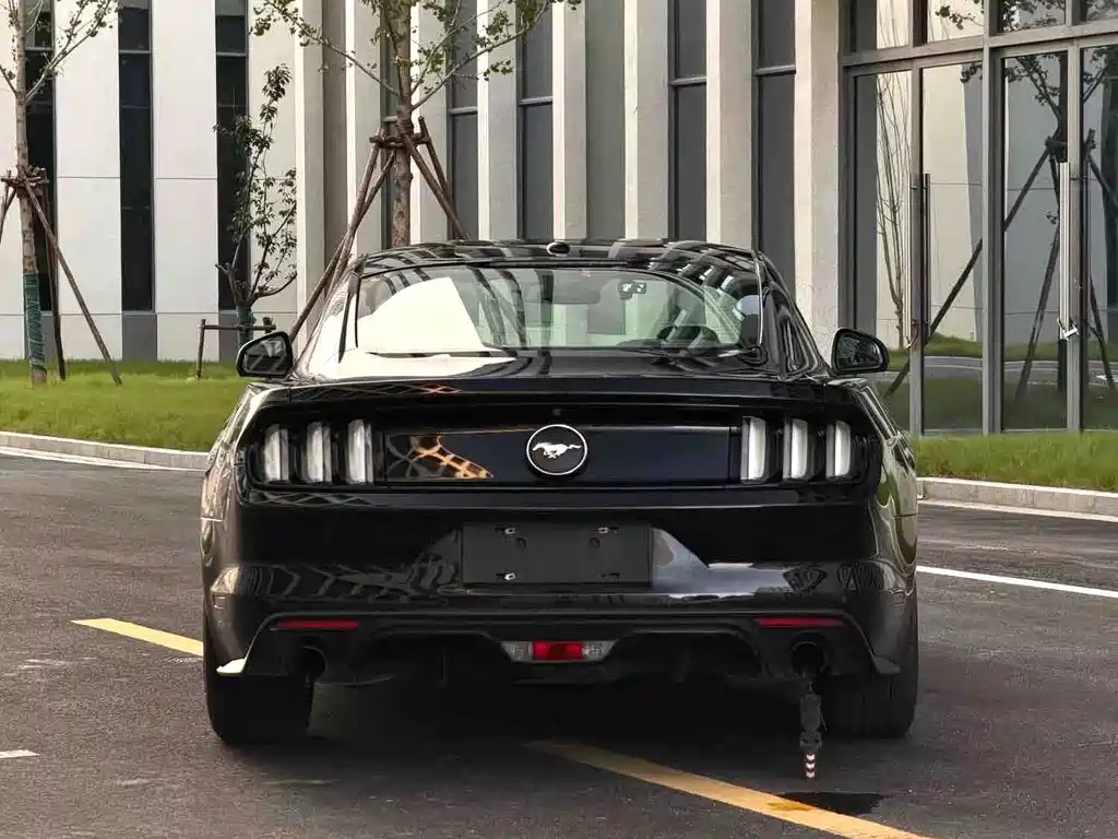 Ford Mustang — миниатюра 8