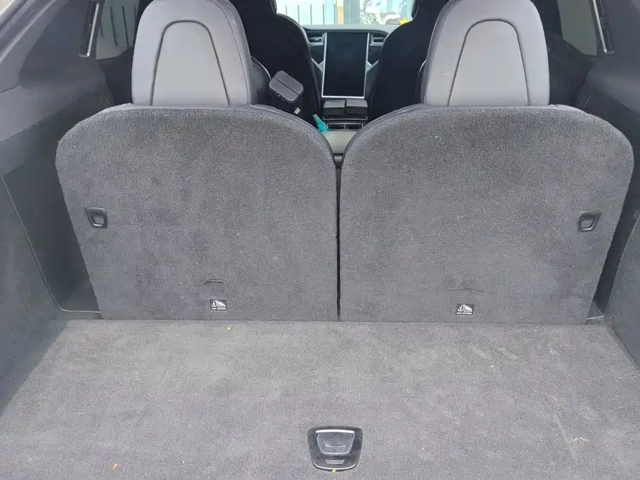 Tesla Model X — миниатюра 4