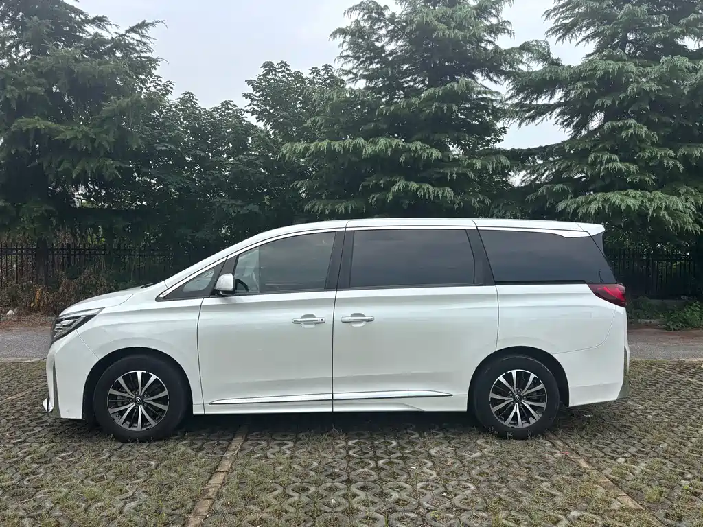GAC Motor Trumpchi M8 — миниатюра 3