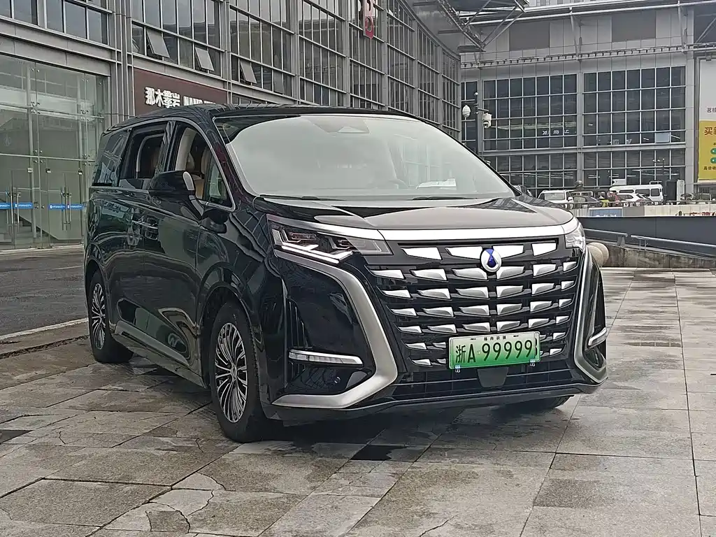 Denza Denza D9 — миниатюра 3