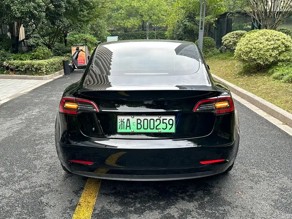Tesla Model 3 — миниатюра 4